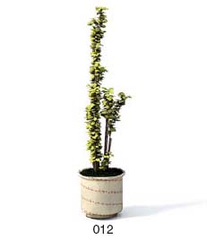 Archmodels模型库----------一些盆栽花卉植物模型的图片3