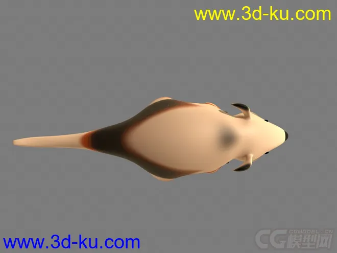 Anteater 食蚁兽模型的图片6