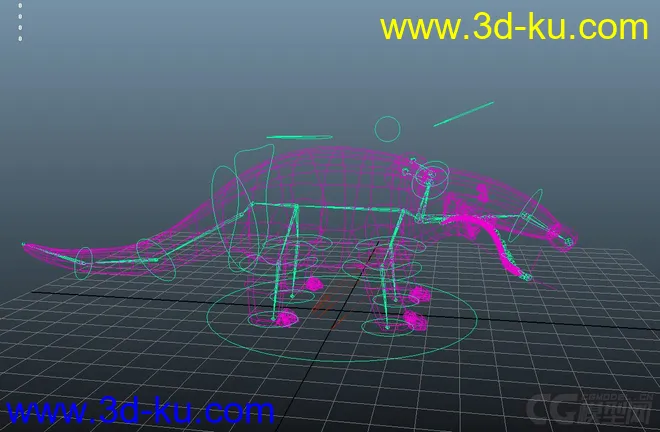Anteater 食蚁兽模型的图片8