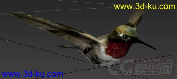 一只蜂鸟模型的图片2