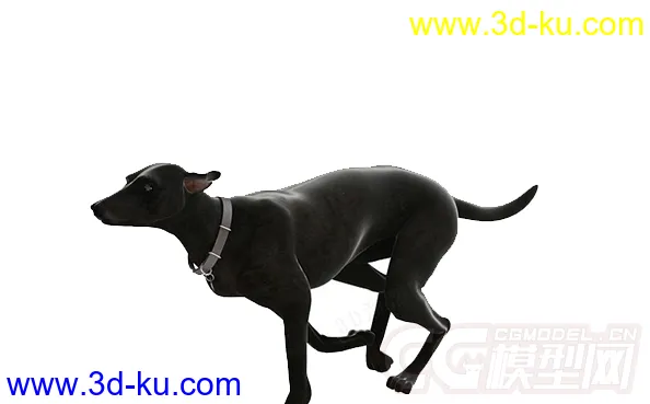 一只大黑狗模型的图片1
