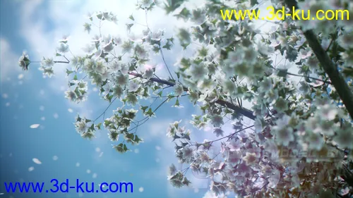 樱花树FBX格式模型，树皮和花的纹理都包括在内的图片1