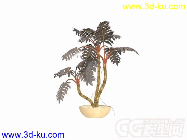 盆景植物6种模型的图片2