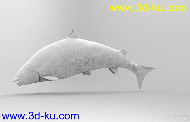 大马哈鱼模型obj格式无贴图的图片1