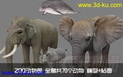 【ZOO动物园】全套共70个动物模型+贴图 企鹅 乌龟 狮子 鸵鸟 猩猩 骆驼 大象等的图片2