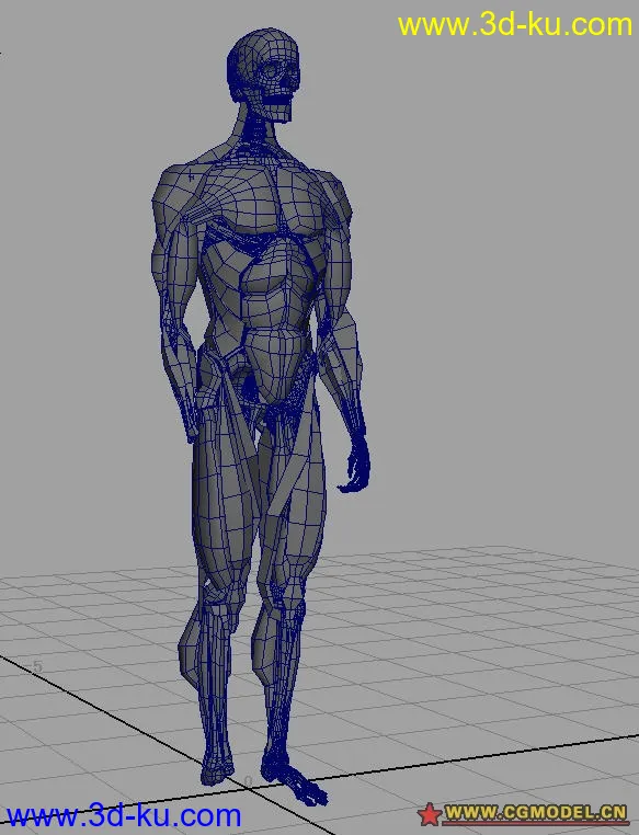 骨骼肌肉完整建模---菜鸟高手必备模型的图片3