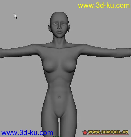 女性建模人体布线模型的图片1