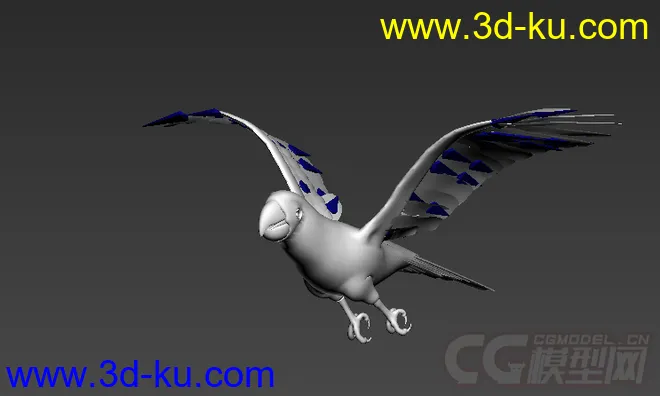 鹦鹉模型的图片2