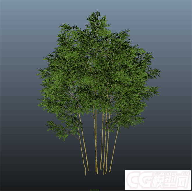 写实树木模型max11（免费的哦）的图片2