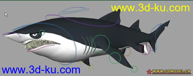 设置好的鲨鱼模型的图片1