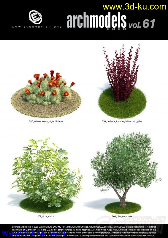 花草树木模型的图片7