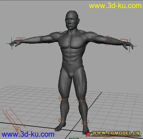 绑定好的肌肉男模型的图片1