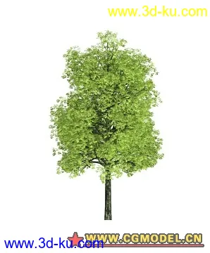 OnyxTree_模型树的图片1