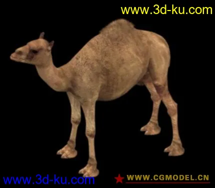 三角洲特种部队中的骆驼模型的图片1