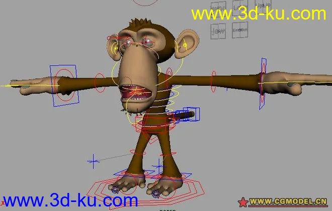 带绑定的猴子模型的图片1