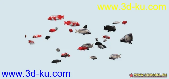 一群鱼  游动加动画加贴图模型的图片1