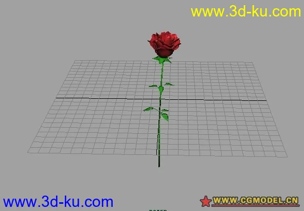 玫瑰花模型的图片1