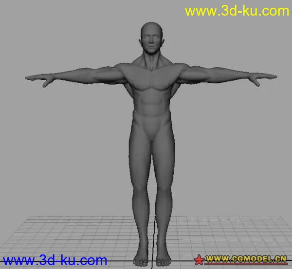 基础男人体模型的图片1