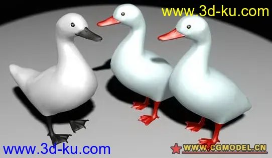 duck模型的图片1