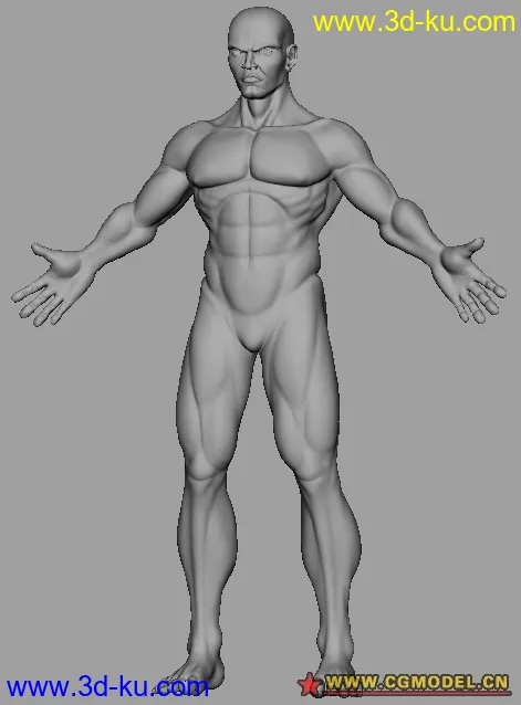 新作 男人体一个模型的图片1