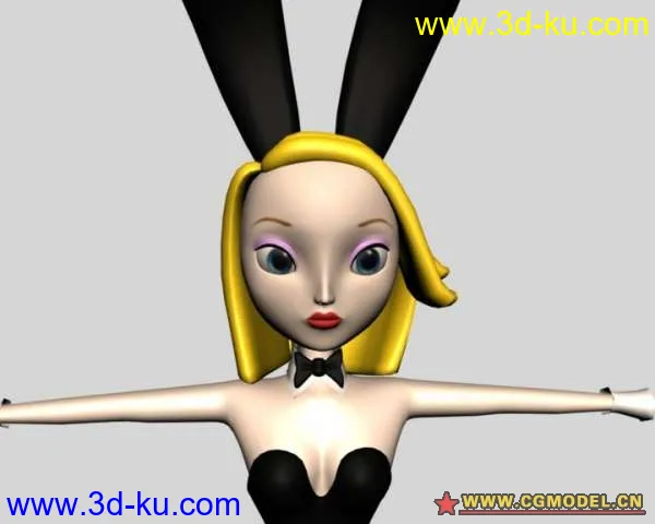 兔女郎模型的图片2