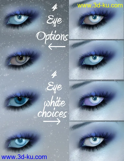 RM Nieves模型的图片2