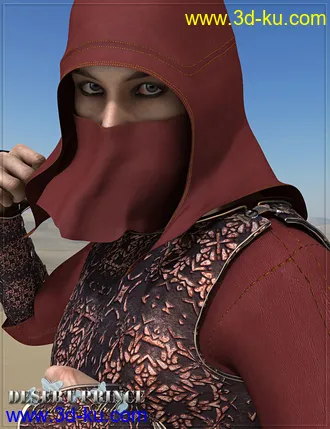3D打印模型RW Desert Prince for Genesis 2 Male(s)的图片