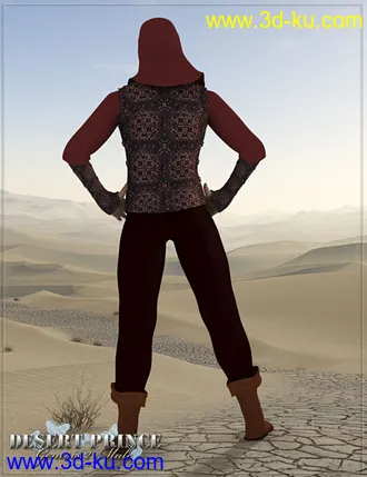 3D打印模型RW Desert Prince for Genesis 2 Male(s)的图片