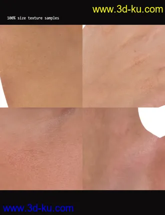 3D打印模型RY Perfectly Imperfect Skin 2 and Merchant Resource for Genesis 8 Female的图片