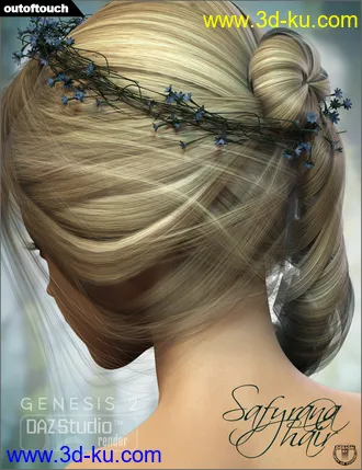 3D打印模型Safyrana Hair的图片