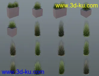 3D打印模型Seaside Apartment的图片
