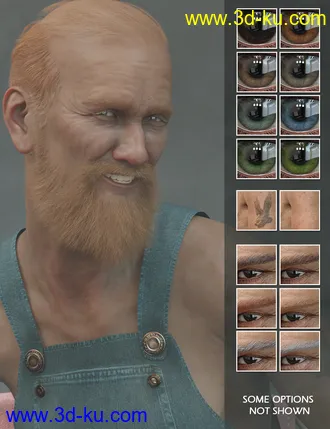 3D打印模型Seb HD for Genesis 8 Male的图片
