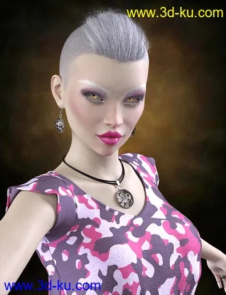 3D打印模型Shail For Rynne 8的图片