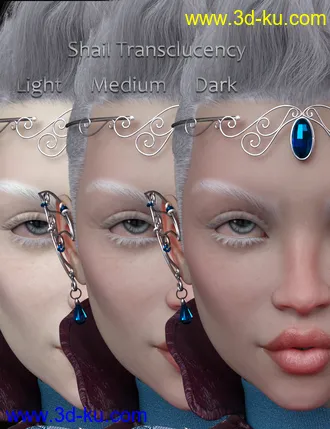3D打印模型Shail For Rynne 8的图片