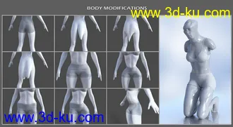 3D打印模型Shapeless Morphs for Genesis 8 Female的图片