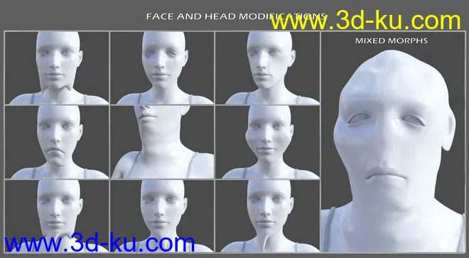 Shapeless Morphs for Genesis 8 Female模型的图片11