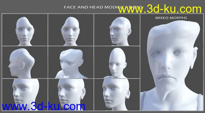 Shapeless Morphs for Genesis 8 Female模型的图片12