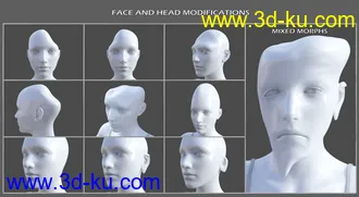 3D打印模型Shapeless Morphs for Genesis 8 Female的图片