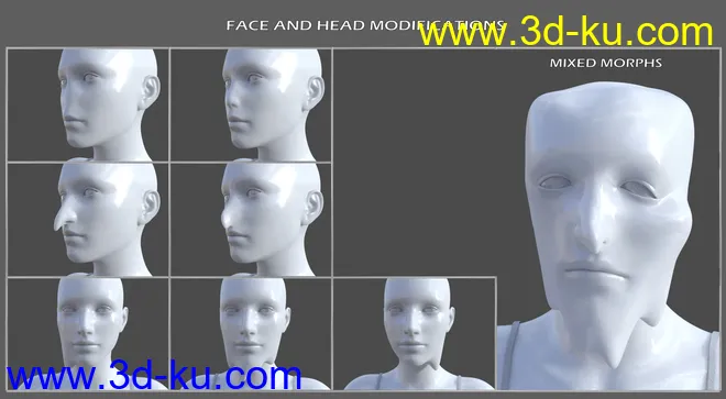 Shapeless Morphs for Genesis 8 Female模型的图片13