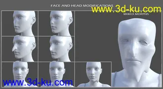 3D打印模型Shapeless Morphs for Genesis 8 Female的图片
