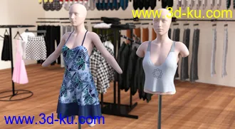 3D打印模型Shapeless Morphs for Genesis 8 Female的图片