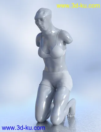 3D打印模型Shapeless Morphs for Genesis 8 Female的图片