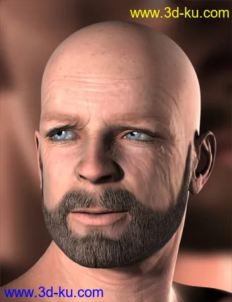 3D打印模型Short Beard for Genesis的图片