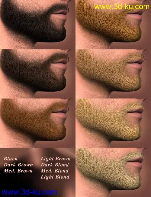 Short Beard for Genesis模型的图片3