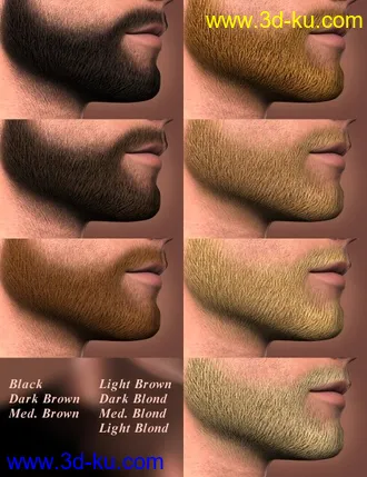 3D打印模型Short Beard for Genesis的图片