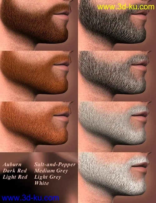 Short Beard for Genesis模型的图片4