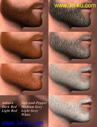 3D打印模型Short Beard for Genesis的图片