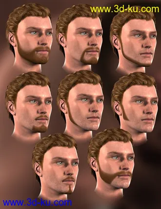 3D打印模型Short Beard for Genesis的图片