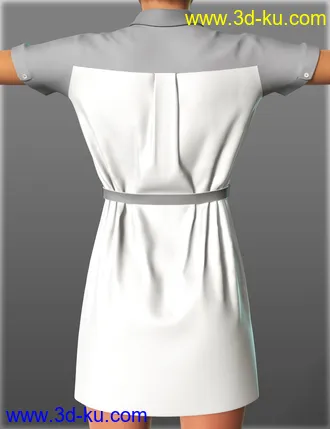 3D打印模型Short Sleeve Shirt Dresses for Genesis 2 Female(s)的图片