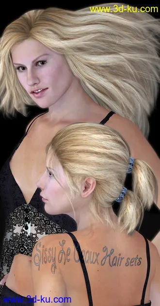 3D打印模型Sissy Le Beaux Hair Sets的图片